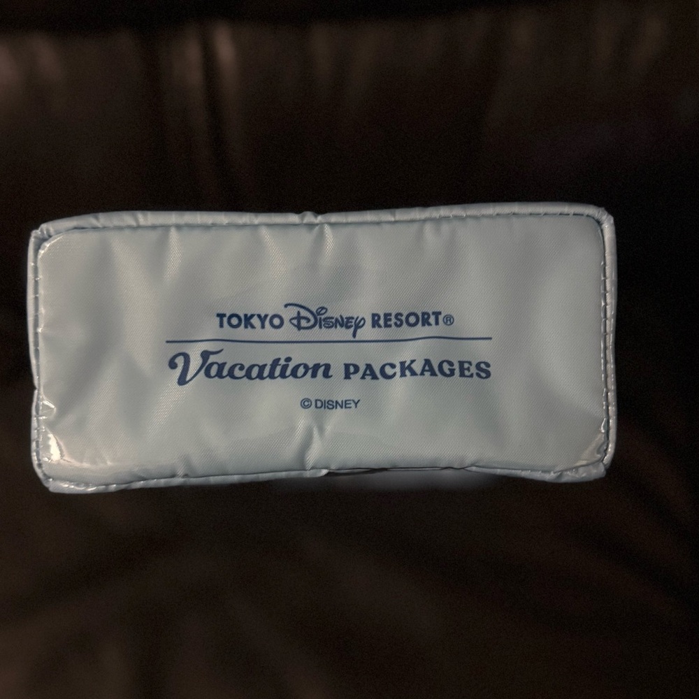Tokyo Disney Resort VacationPackage Exclusive PopcornBucket ,w/Wet Wipes Storage - Picture 8 of 15